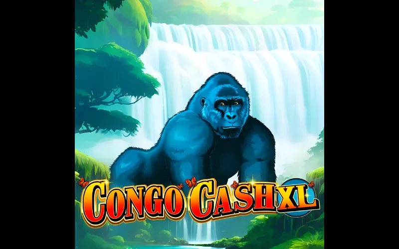Congo Cash XL