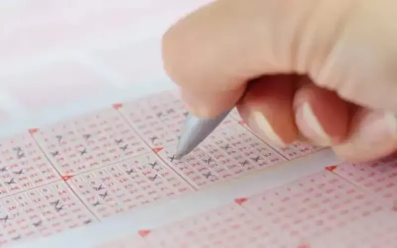 Kerala Today Lottery Review at Colour Game Clubs body image